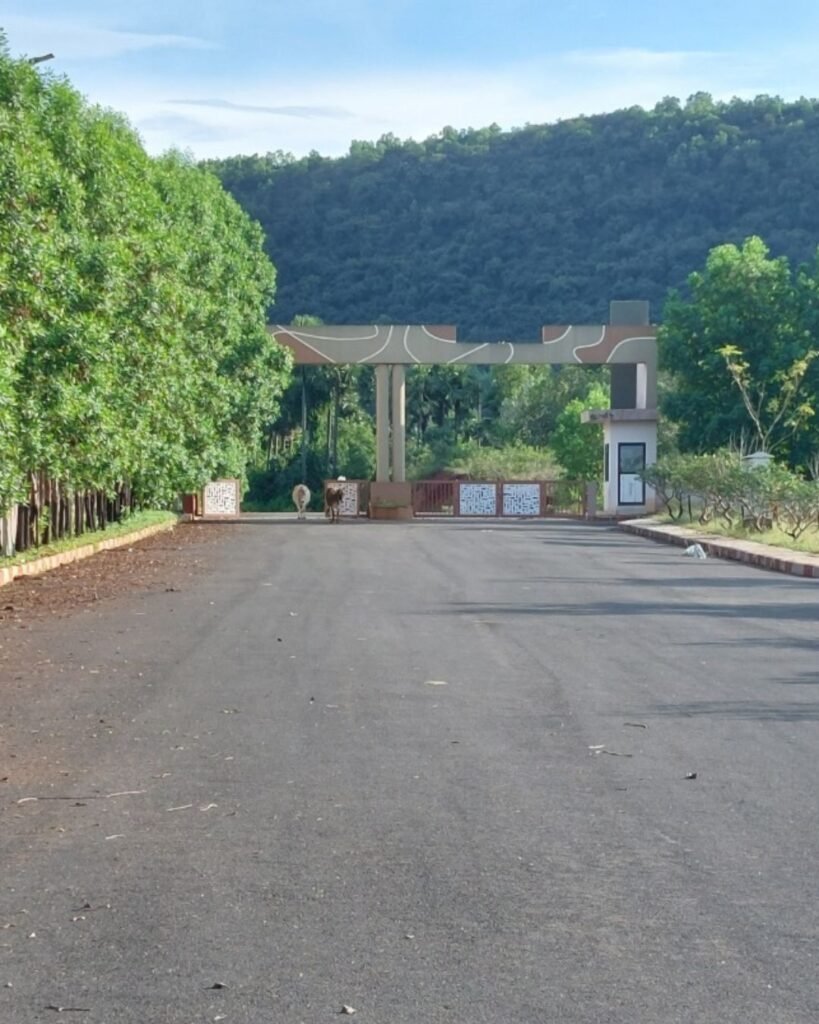 Kohinoor Gateway plots in Bhogapuram