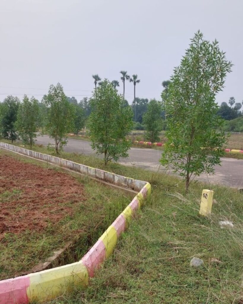 True Gold residential plots in Cheepurupalli
