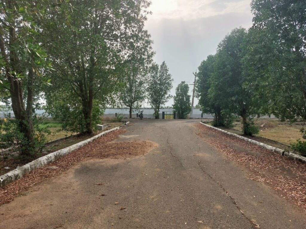 Tree-lined internal roads and plotted land development showing Vizag property market growth and real estate investment opportunities in 2026