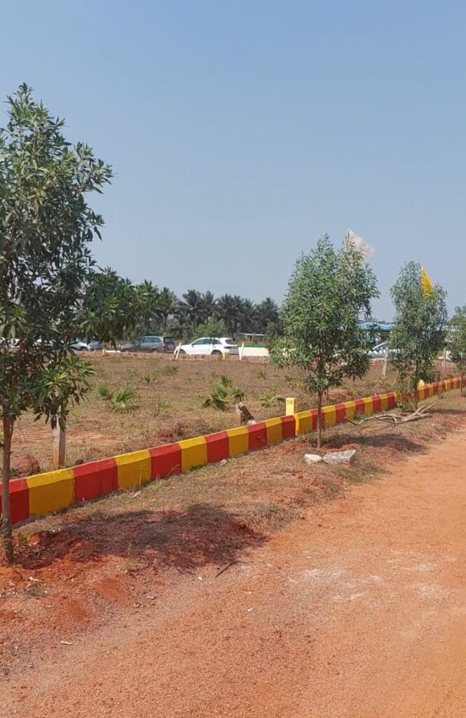 Open residential plots with developed roadside landscaping at True Gold project in Cheepurupalli near Srikakulam.