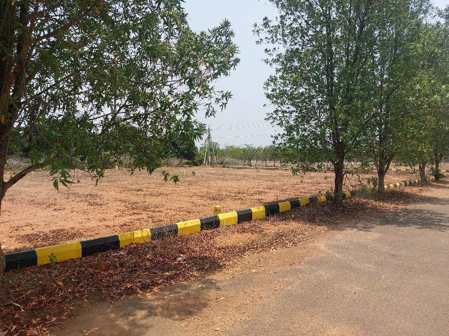 Best plots in Bhogapuram real estate with open residential layout, tree-lined roads, and peaceful surroundings