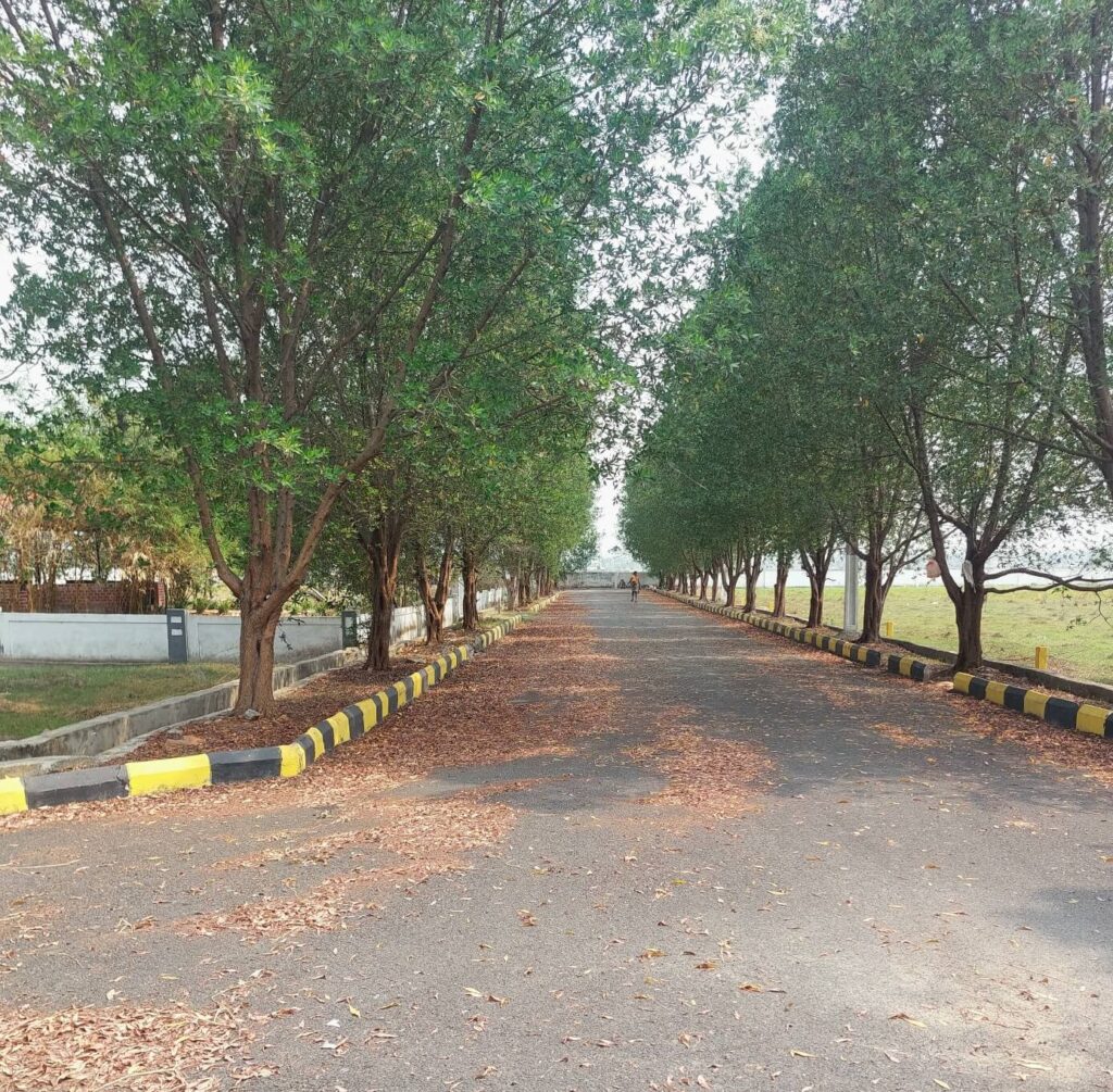 Developed avenue road and premium residential plots at True Capital project in Anandapuram, Vizag.