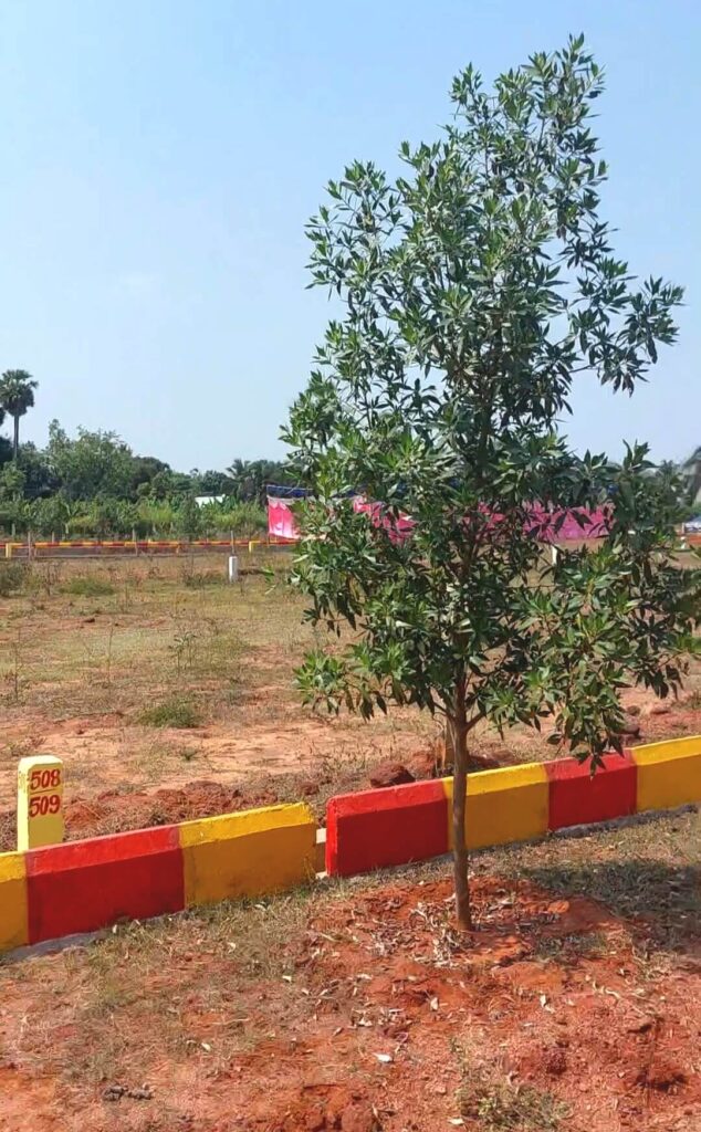 Best VMRDA investment plots near Srikakulam in Cheepurupalli with landscaped layout and greenery