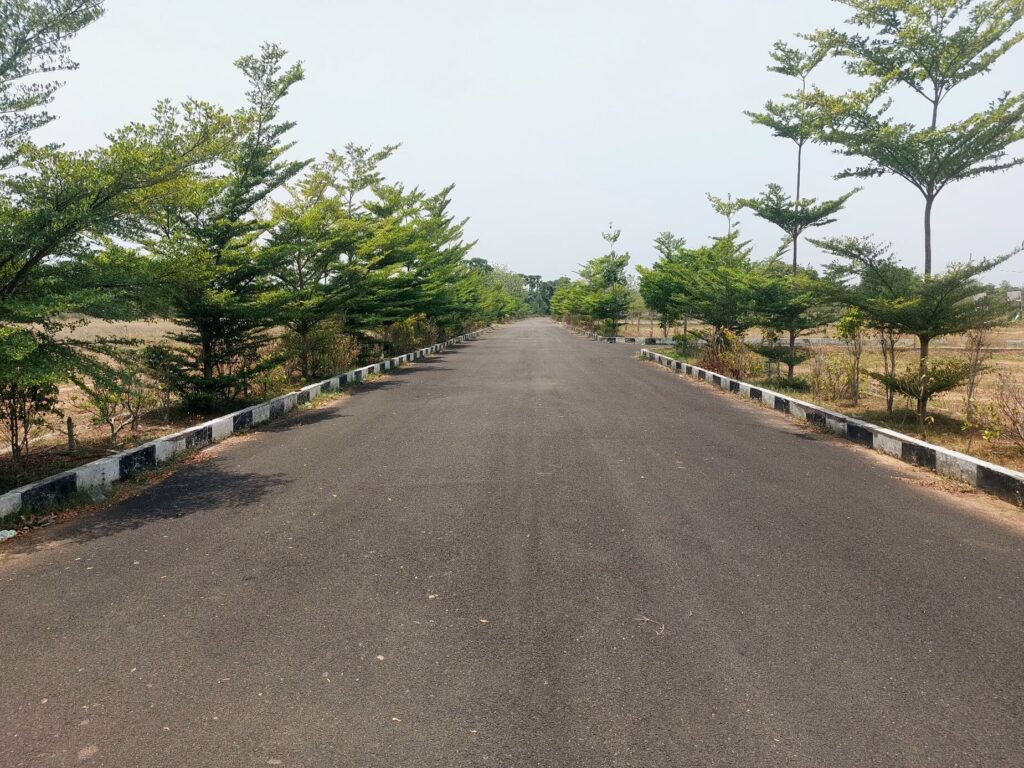 Developed internal road with avenue plantation at True Empire Commercial project in Raghumanda, Vizianagaram.