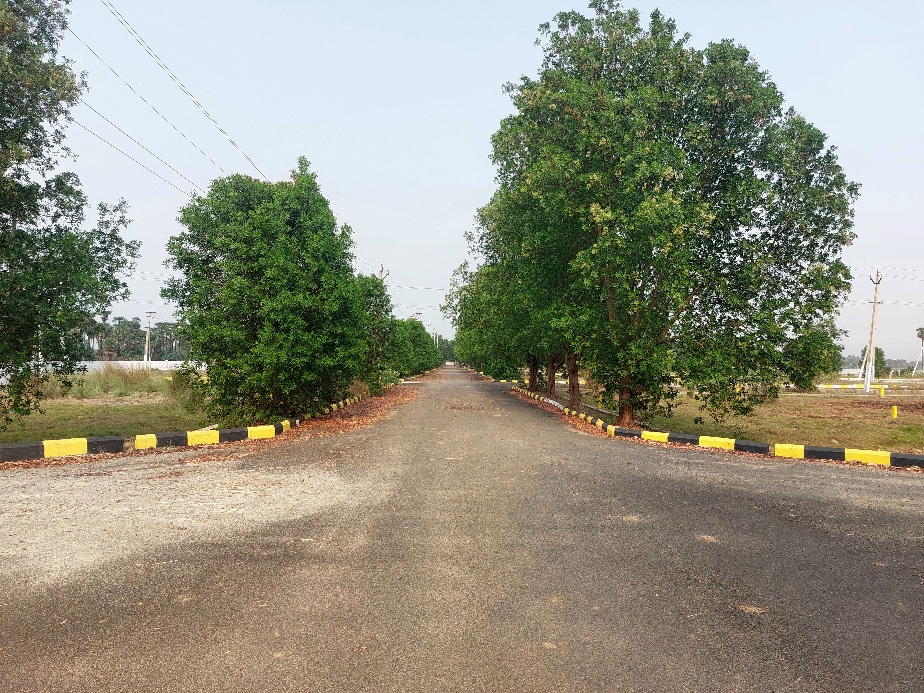Investment plots near Bhogapuram Airport with developed internal roads and greenery