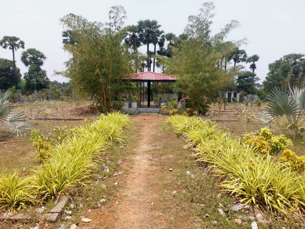 Well-developed park and landscaped surroundings at True Empire Commercial project in Raghumanda, Vizianagaram.