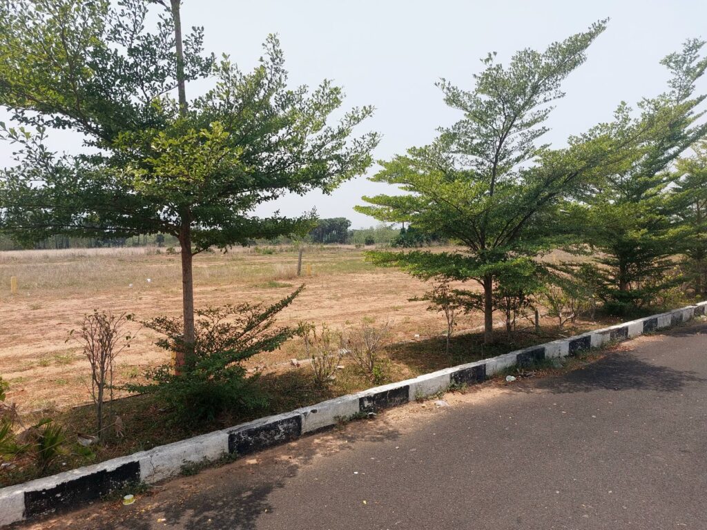 Fast developing residential layouts in Raghumanda with avenue plantation and ready internal roads