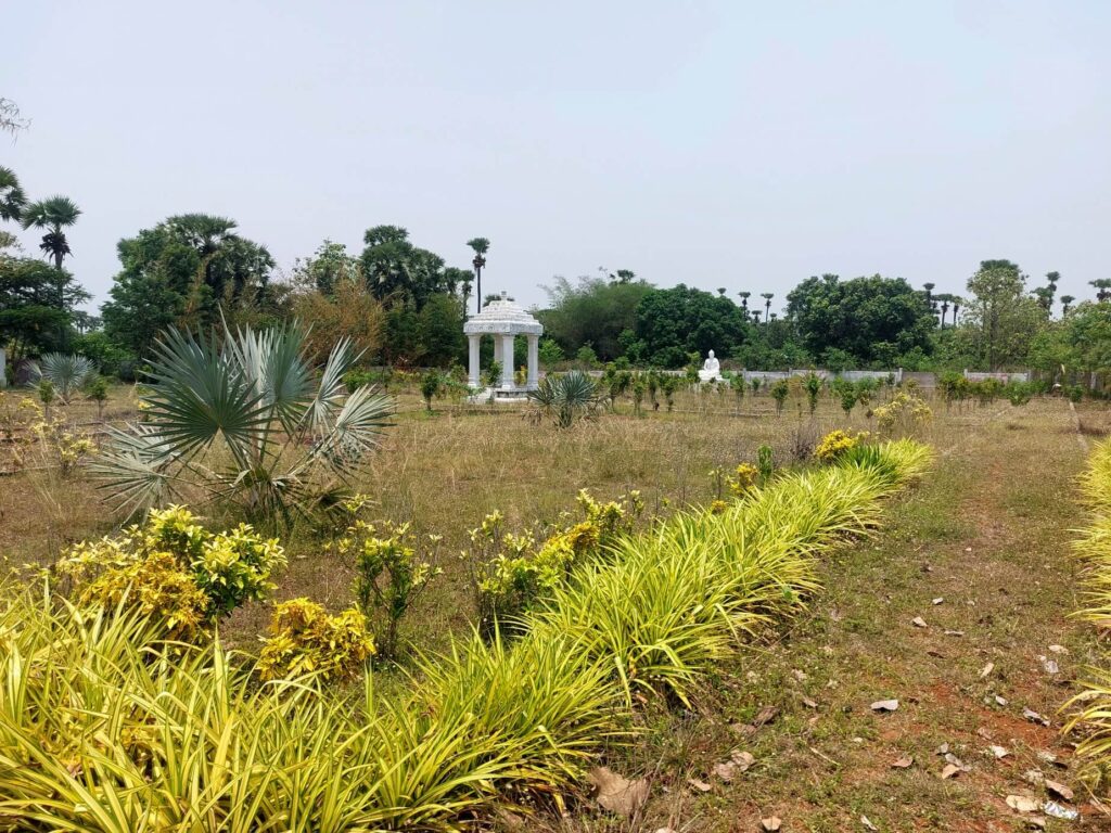 Legally approved residential plots in Raghumanda with landscaped greenery and open space development
