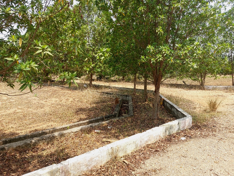 Affordable residential plots at True Empire Deluxe project in Raghumanda near Bhogapuram, Vizianagaram.