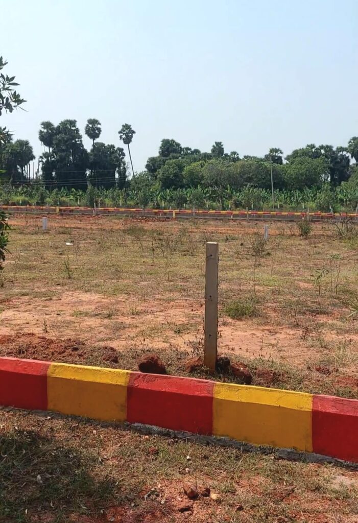 Open approved plots near Srikakulam in Cheepurupalli with clear layout development and greenery
