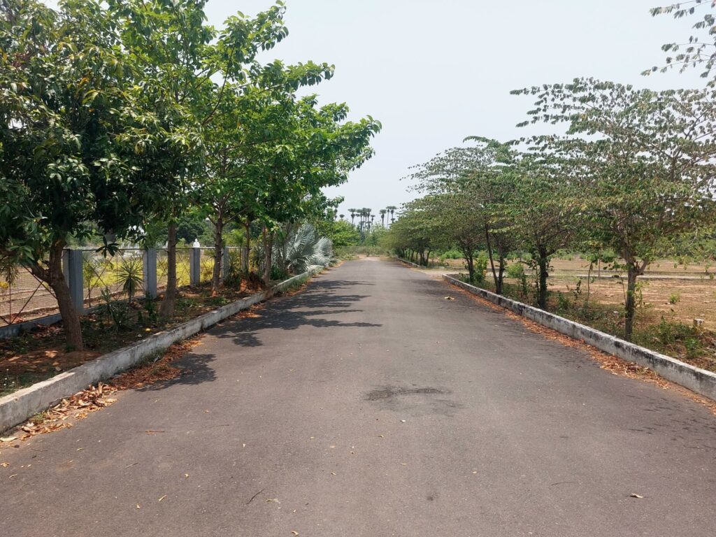 Plots in Raghumanda with wide blacktop raods and greenery