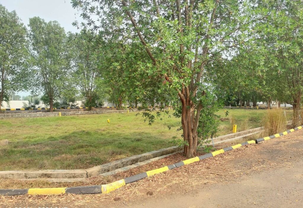Residential plots with greenery and internal road development at True Capital project in Anandapuram, Vizag