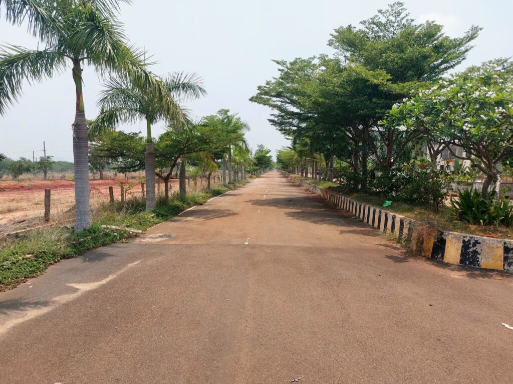 Premium open plots in Vizag with wide internal roads and landscaped avenue plantation at Kothavalasa