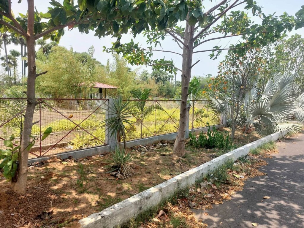 Landscaped park area with greenery in True Empire Commercial project at Raghumanda, Vizianagaram