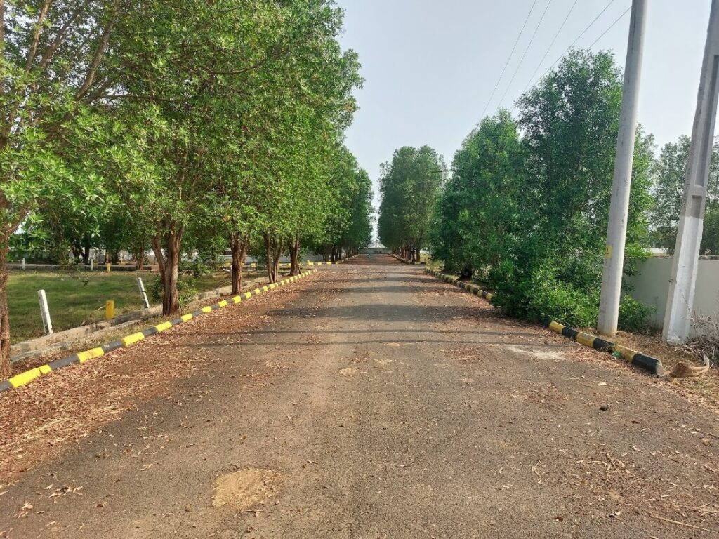 Properties in Vizag for sale with tree-lined roads and peaceful residential plot layout near Thagarapuvalasa