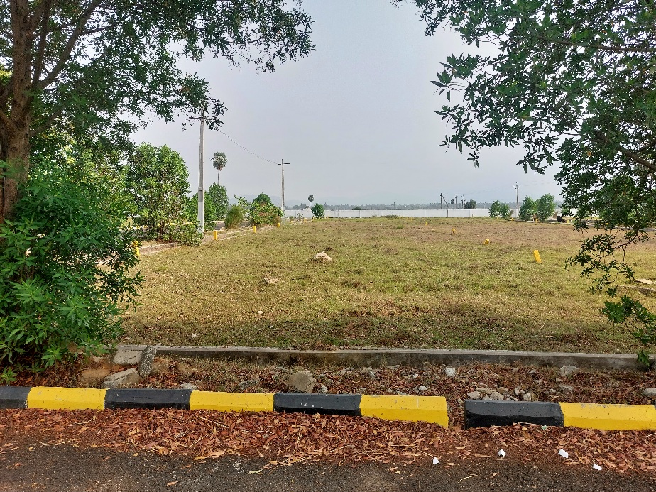 Property for sale in Vizag with open residential plots, landscaped layout, and peaceful green surroundings
