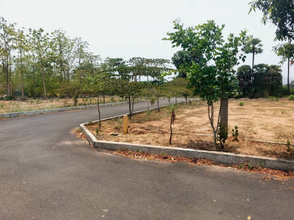 Ready to register VMRDA approved residential plots in Raghumanda near Vizianagaram and Vizag