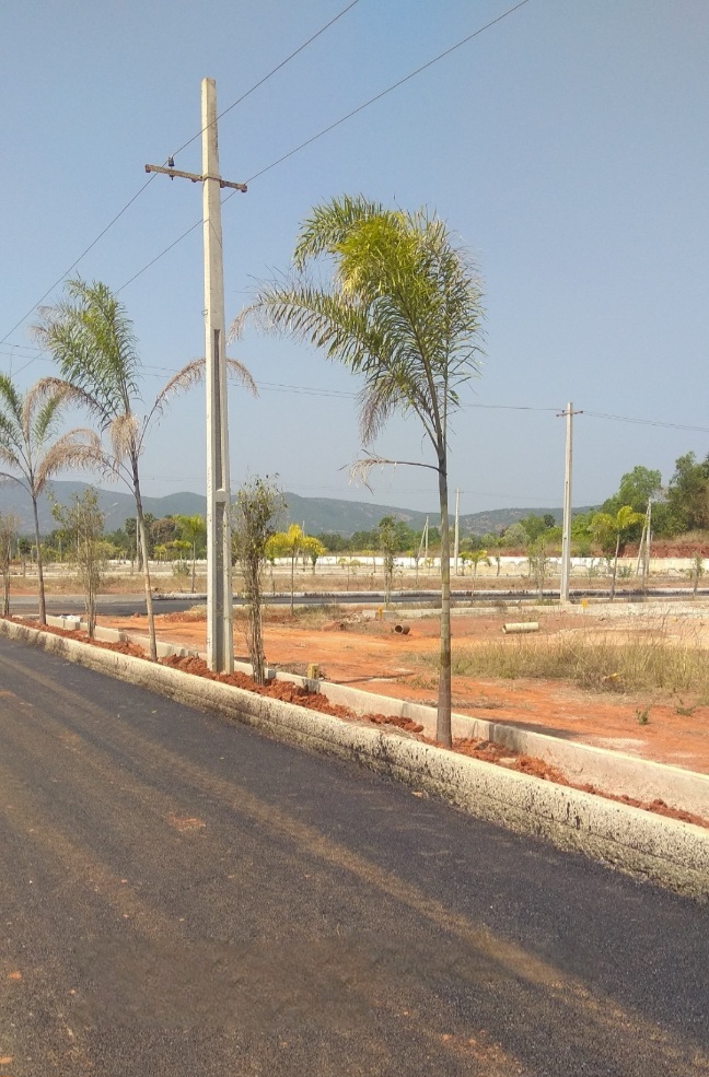 Real estate in Vizag with developed internal roads, landscaped avenues, and VMRDA-approved open plots