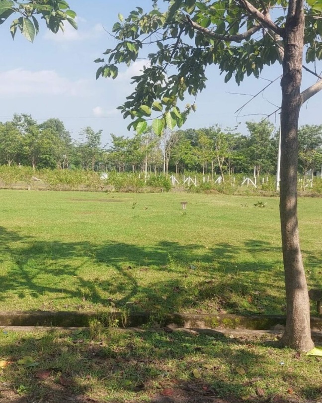 True Empire Deluxe plots in Raghumanda