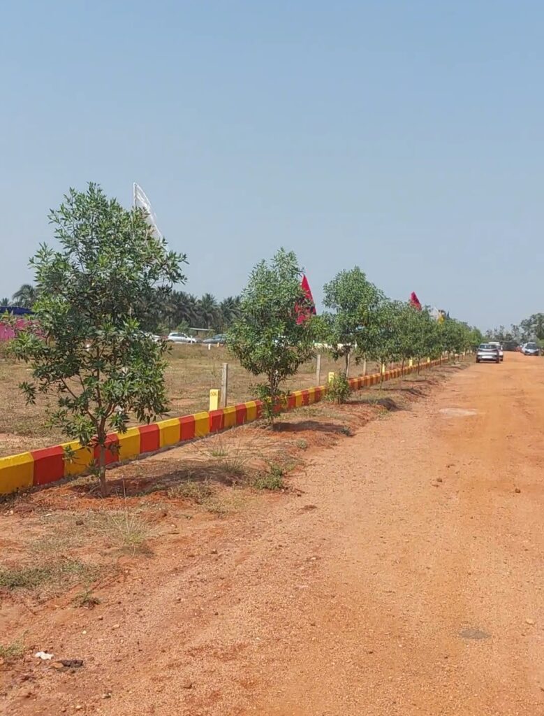 Affordable VMRDA-approved plots with developed internal road at True Gold project in Cheepurupalli near Srikakulam.