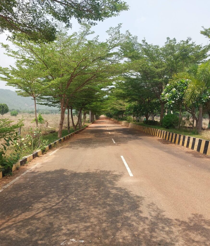 Tree-lined avenue road and VMRDA-approved residential plots at Kohinoor Hills project in Kothavalasa, Vizag.