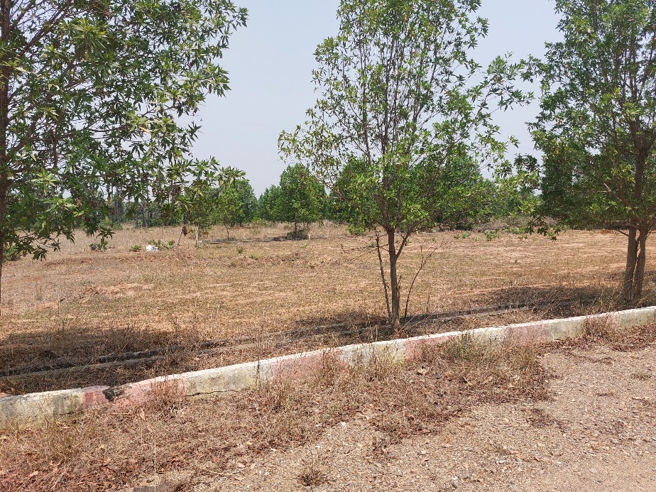 VMRDA-approved plots near Pharma City at Kohinoor Prime project in Atchutapuram, Vizag