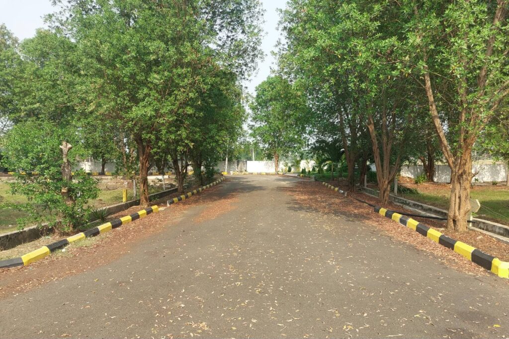 VMRDA-approved plots in Visakhapatnam with tree-lined internal roads and peaceful residential surroundings
