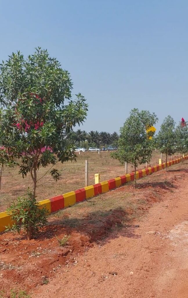 Open residential plots near Srikakulam with plotted development, greenery, and future investment potential