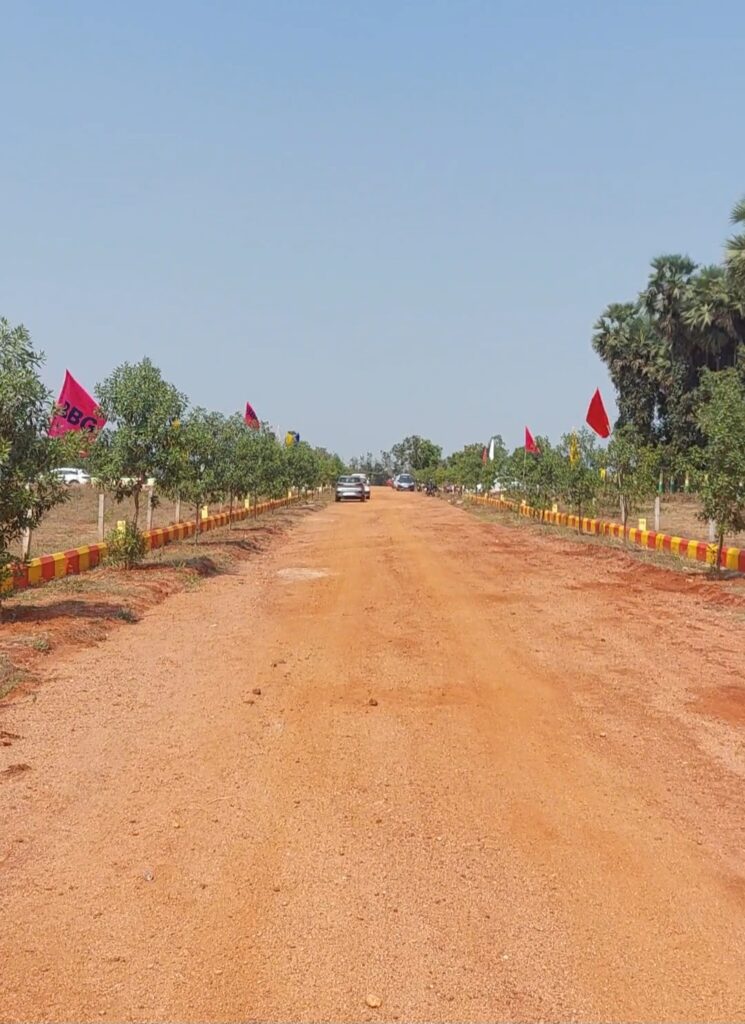 Developed plots near Srikakulam with internal roads, greenery, and future residential growth potential