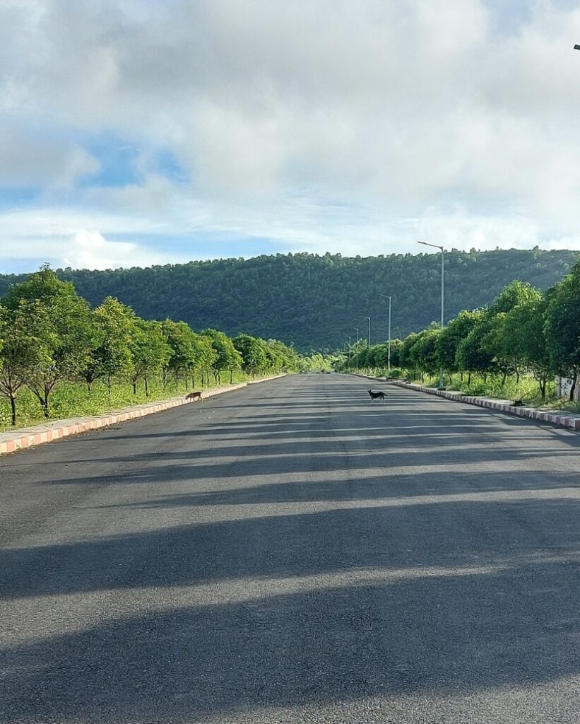 Premium residential plots in Vizag with developed roads and scenic surroundings in Bheemili