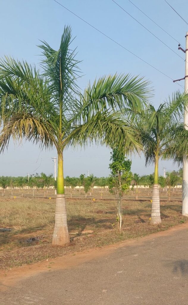 VMRDA approved open plots in the Bhogapuram International Airport growth corridor